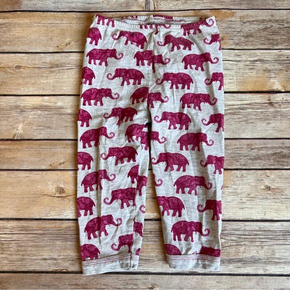 Coccoli - Picture 8 of 8